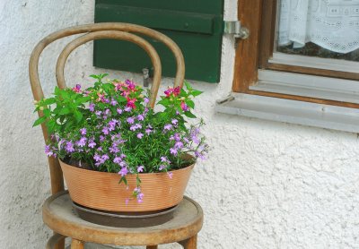 Blumentopf vorm Haus, Ferienwohnung Köpf